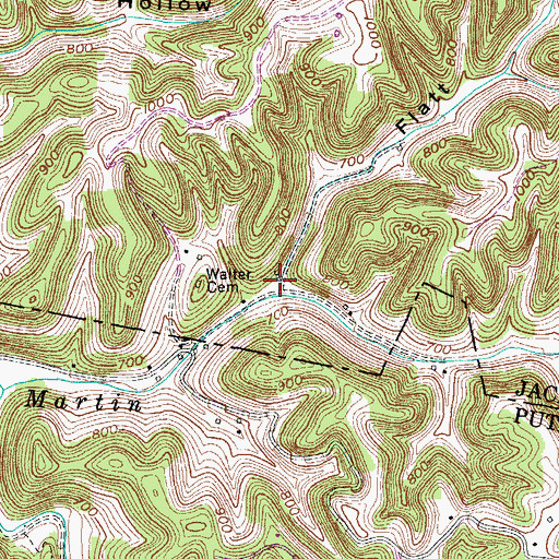 Topographic Map of Flatt Hollow, TN
