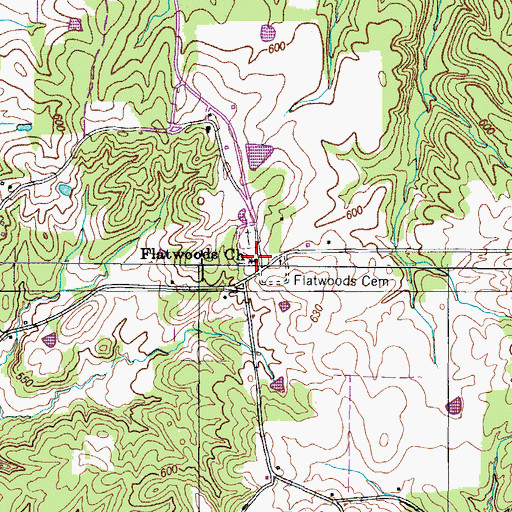 Topographic Map of Flatwoods Church, TN
