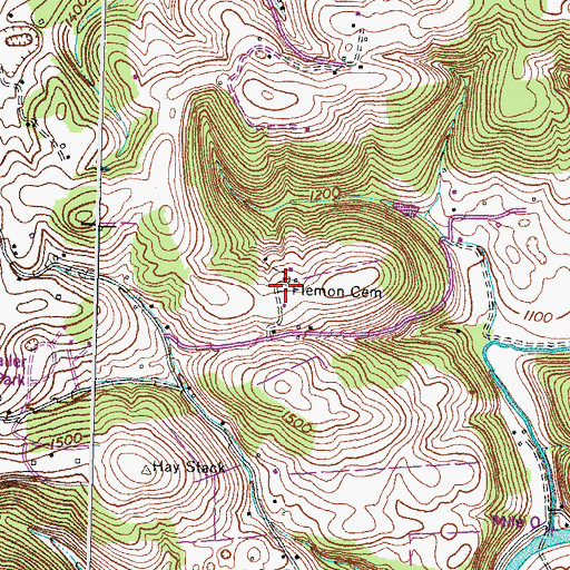 Topographic Map of Flemon Cemetery, TN