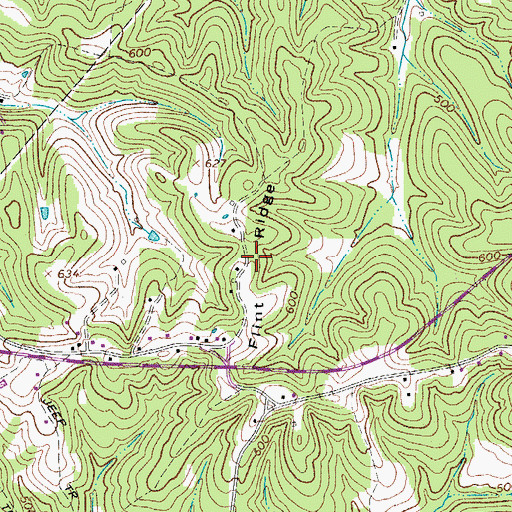 Topographic Map of Flint Ridge, TN