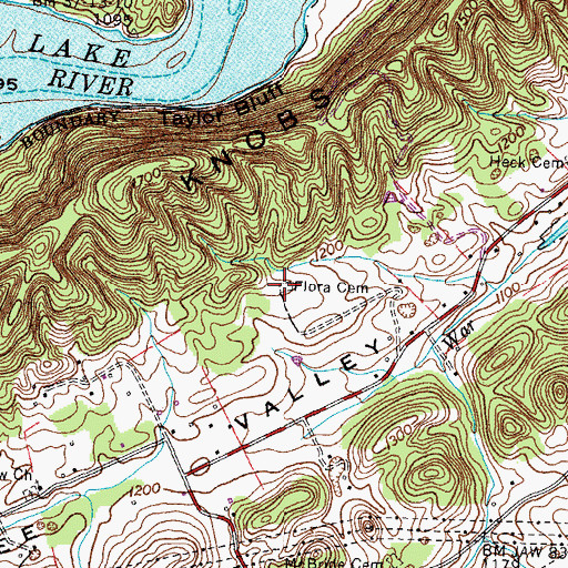 Topographic Map of Flora Cemetery, TN