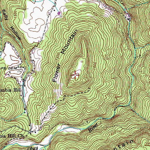 Topographic Map of Flower Mountain, TN