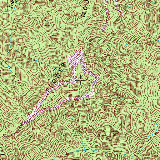 Topographic Map of Flower Mountain, TN