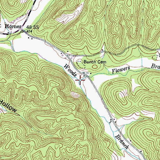 Topographic Map of Flowers Branch, TN