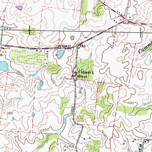 Topographic Map of Flowers Cemetery, TN