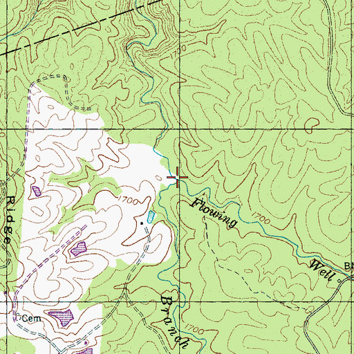 Topographic Map of Flowing Well Branch, TN
