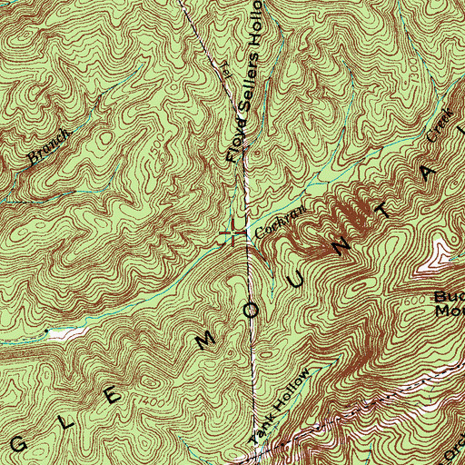 Topographic Map of Floyd Sellers Hollow, TN
