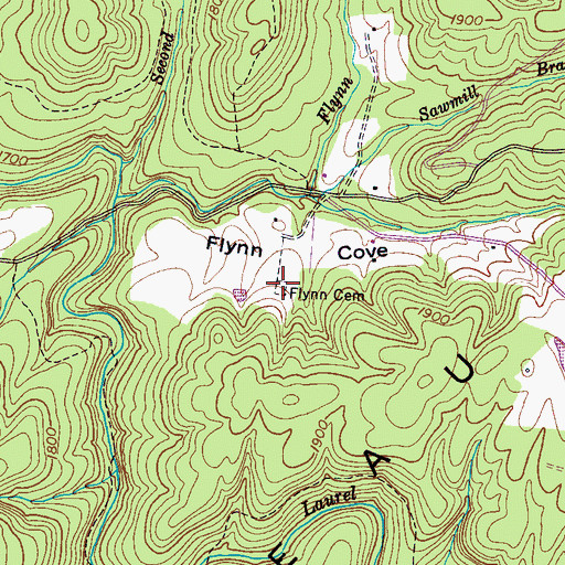Topographic Map of Flynn Cemetery, TN