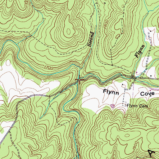 Topographic Map of Flynn Cove, TN