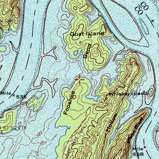 Topographic Map of Fooshee Bend, TN