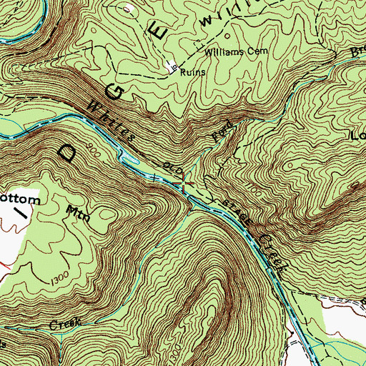 Topographic Map of Ford Branch, TN