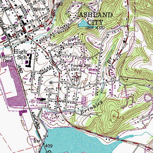 Topographic Map of Forest Hill Cemetery, TN