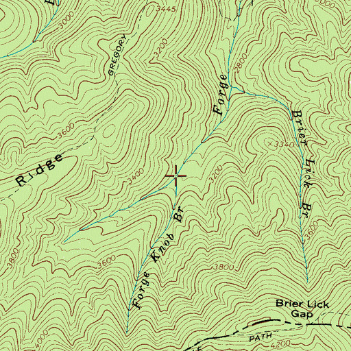 Topographic Map of Forge Knob Branch, TN