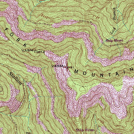 Topographic Map of Fork Mountain, TN