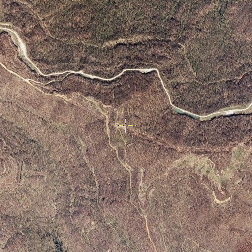 Aerial/Satellite Image of Fork Mountain, TN