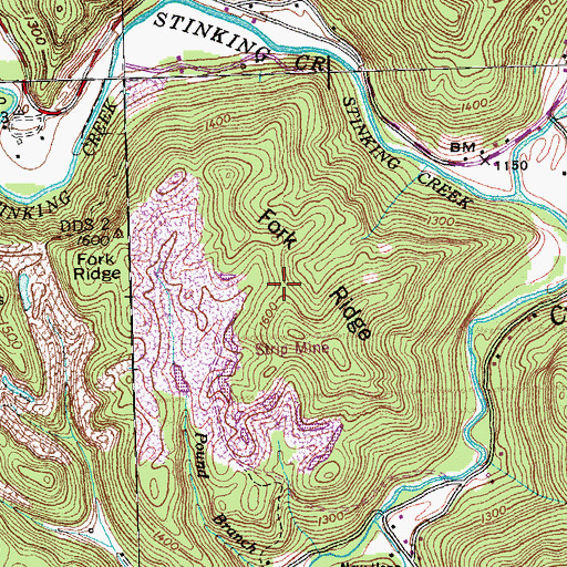 Topographic Map of Fork Ridge, TN