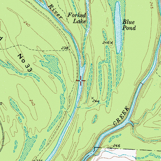 Topographic Map of Forked Lake, TN