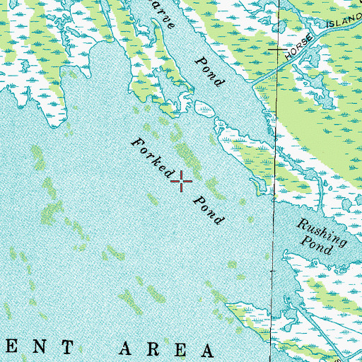 Topographic Map of Forked Pond, TN