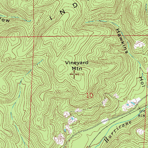 Topographic Map of Vineyard Mountain, AL