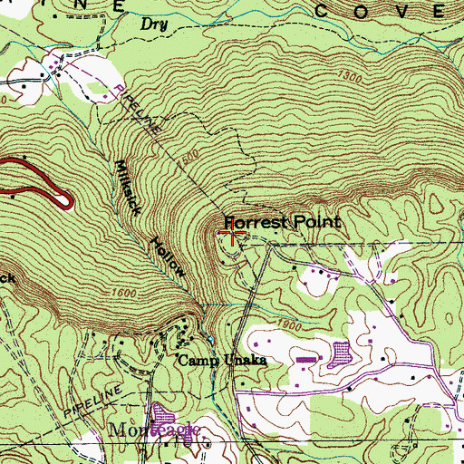 Topographic Map of Forrest Point, TN