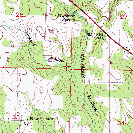 Topographic Map of Vinsant Hollow, AL
