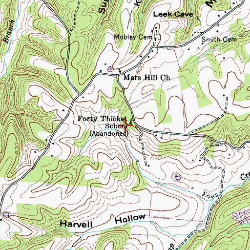 Topographic Map of Forty Thicket School, TN
