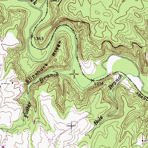 Topographic Map of Foster Branch, TN
