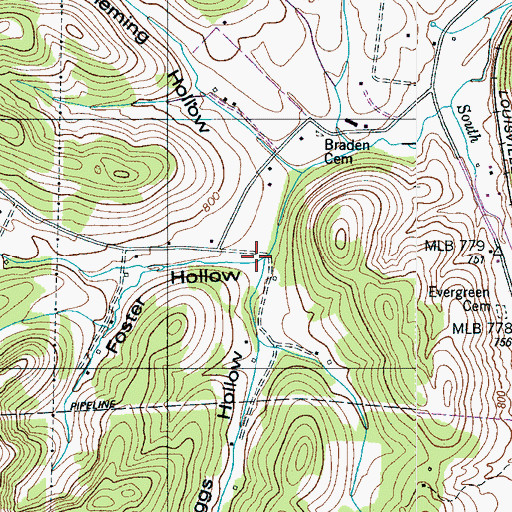 Topographic Map of Foster Hollow, TN