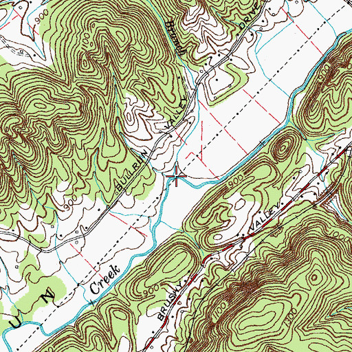 Topographic Map of Fowler Branch, TN