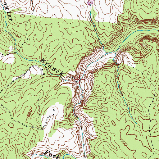 Topographic Map of Fowler Branch, TN