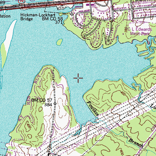 Topographic Map of Fowlkes Branch, TN