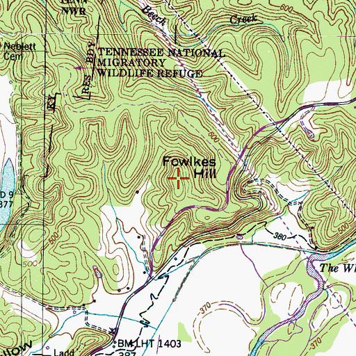 Topographic Map of Fowlkes Hill, TN