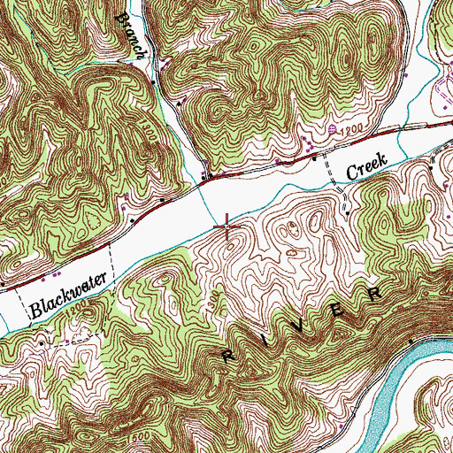 Topographic Map of Fox Branch, TN