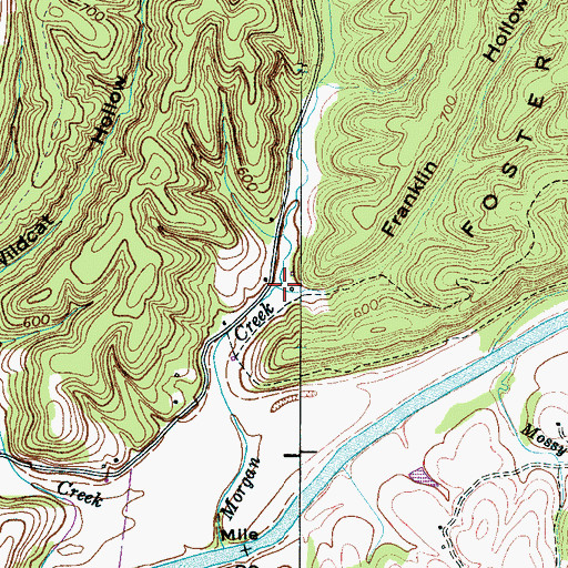 Topographic Map of Franklin Hollow, TN