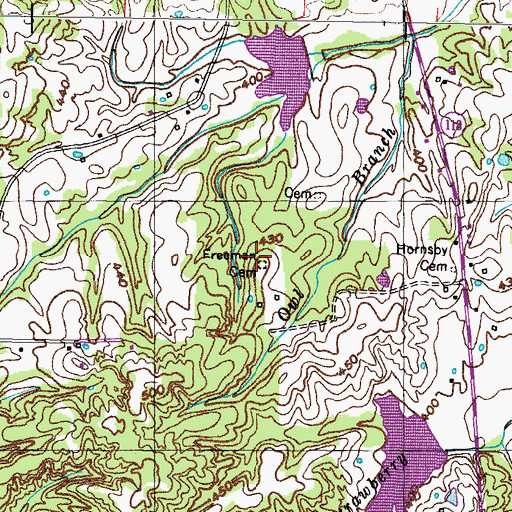 Topographic Map of Freeman Cemetery, TN