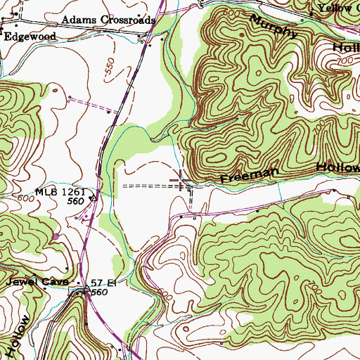 Topographic Map of Freeman Hollow, TN