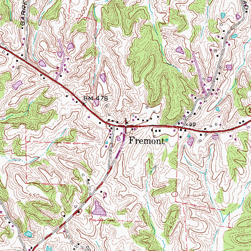 Topographic Map of Fremont, TN