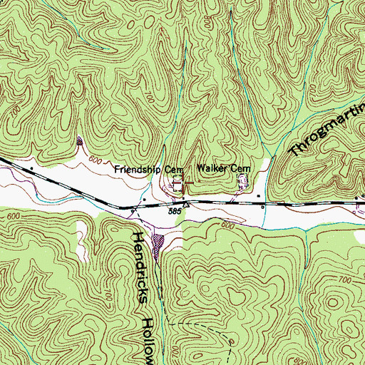 Topographic Map of Friendship Cemetery, TN