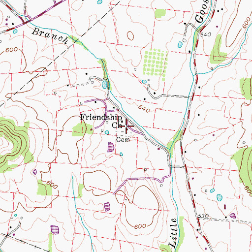 Topographic Map of Friendship Church, TN