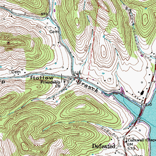 Topographic Map of Friendship Hollow, TN