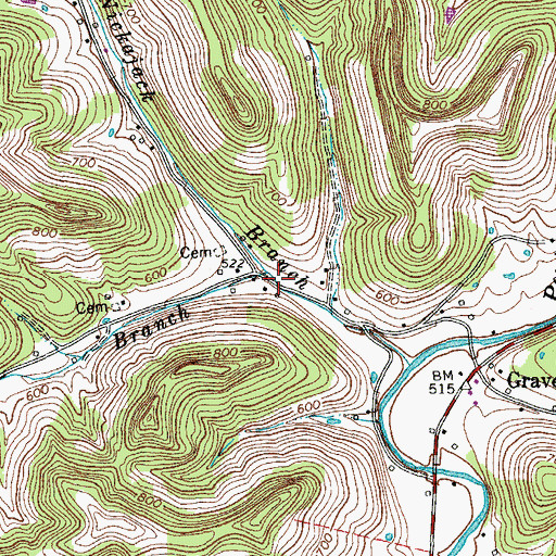 Topographic Map of Frog Branch, TN