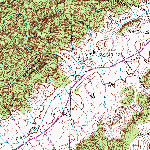 Topographic Map of Frozen Branch, TN