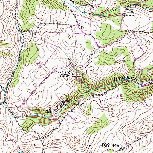 Topographic Map of Fultz Cemetery, TN