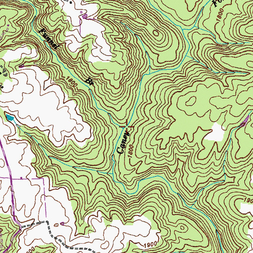 Topographic Map of Funnel Branch, TN