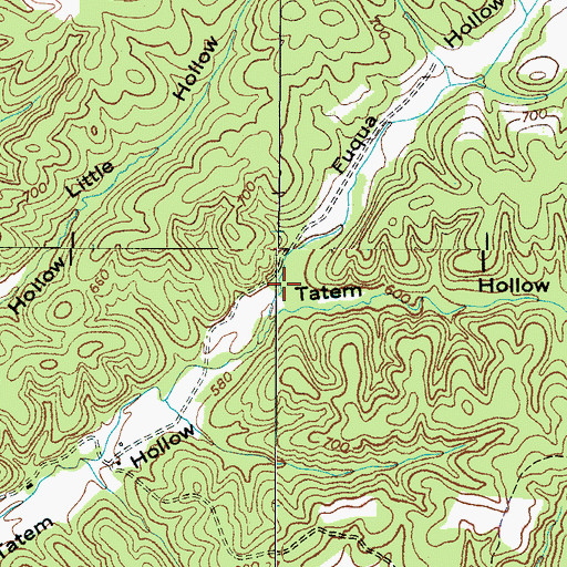 Topographic Map of Fuqua Hollow, TN