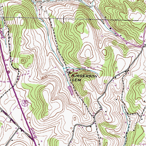 Topographic Map of Furgerson Cemetery, TN