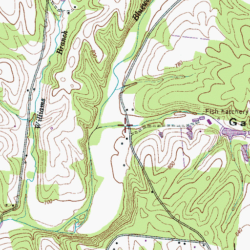 Topographic Map of Gable Hollow, TN