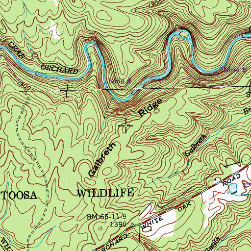 Topographic Map of Galbreth Ridge, TN