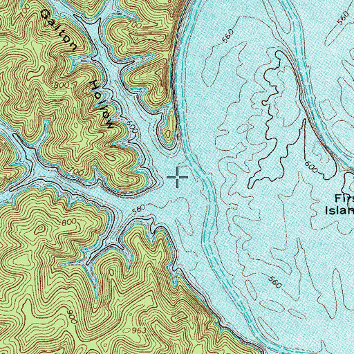 Topographic Map of Galton Hollow, TN