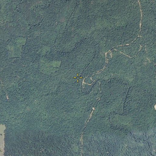 Aerial/Satellite Image of Gamble Branch, TN